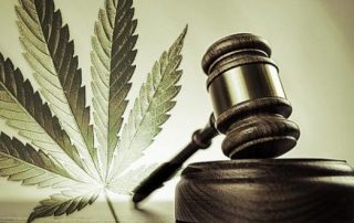 cannabis lawsuit