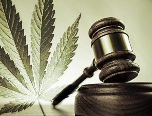 The Role of Government Relations in Cannabis Industry Success