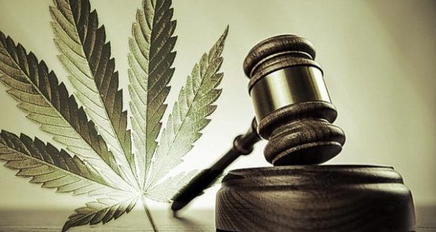 cannabis lawsuit