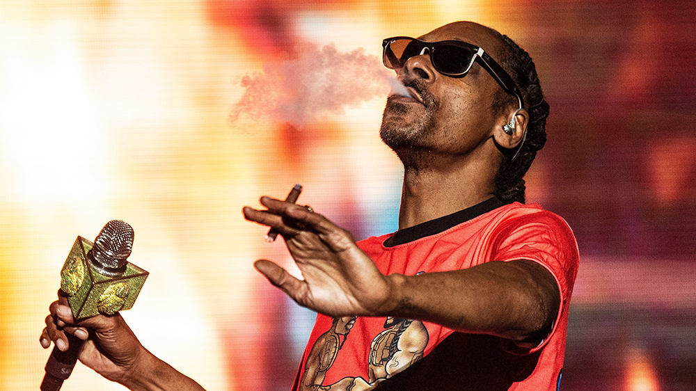 Snoop Dogg Casa Verde Capital