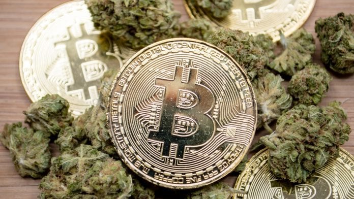 accepting bitcoin for cbd