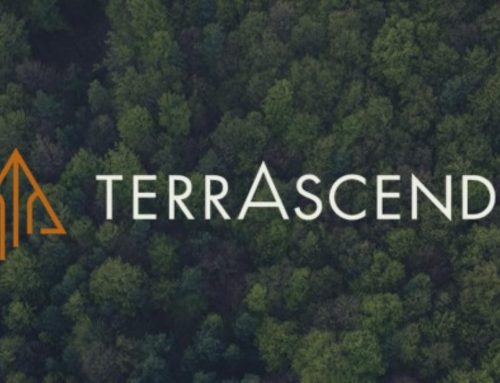 TerrAscend Reports Fourth Quarter and Full Year 2024 Financial Results