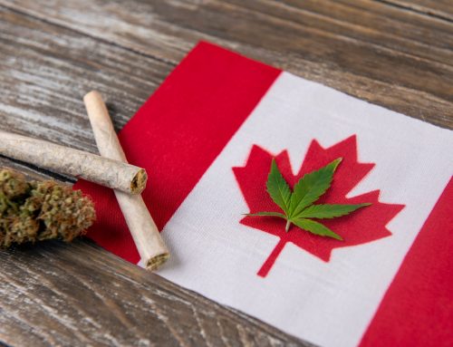 Surge in Canceled Cannabis Licenses and Rising Unpaid Excise Tax in Canada