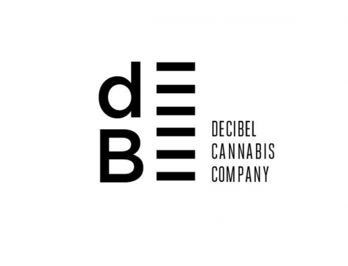 Decibel Announces Second Quarter Results