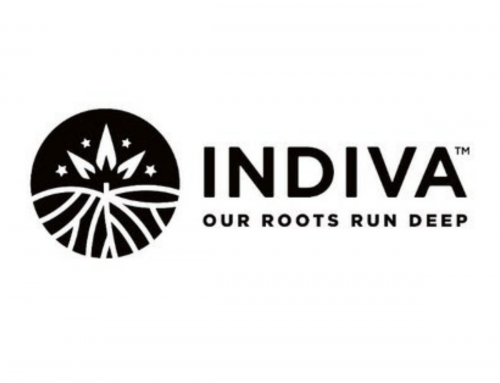 Indiva Reports Second Quarter Fiscal 2021 Results