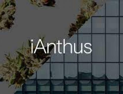 iAnthus Capital Holdings Reports Q1 2025 Financial Results