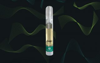 Adastra Holdings Ltd--Adastra Launches Phyto Extractions Full Sp