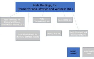 Poda Lifestyle and Wellness Ltd--Poda Announces Proposed Name Ch