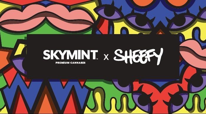 SKYMINT