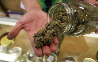 Cannabis Testing Market