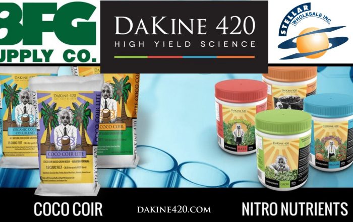 Dakine 420