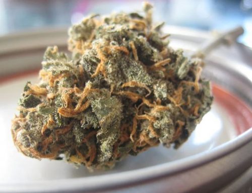 New Zealand Medicinal Cannabis Firms Propose Merger to Form Helius Health