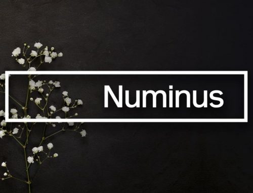 Numinus Wellness Commends Health Canada on Special Access Programme Amendments to Restore Potential Access to Psychedelic Medicines