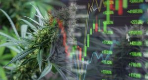 CBD Market, Cannabis Beverages Market