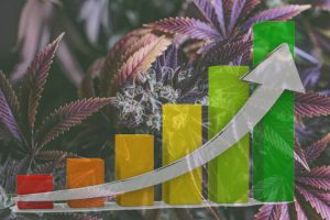 Cannabis Products Market