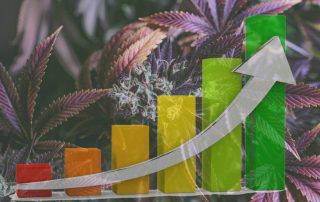Cannabis Products Market