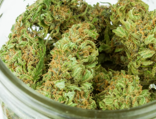Minnesota Senate Advances Cannabis Legislation