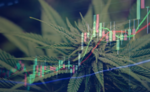Financial result, Cannabis Market, Industrial Hemp Market