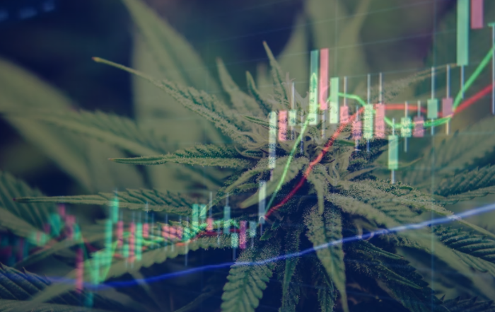 Financial result, Cannabis Market