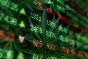 Cannabis Market