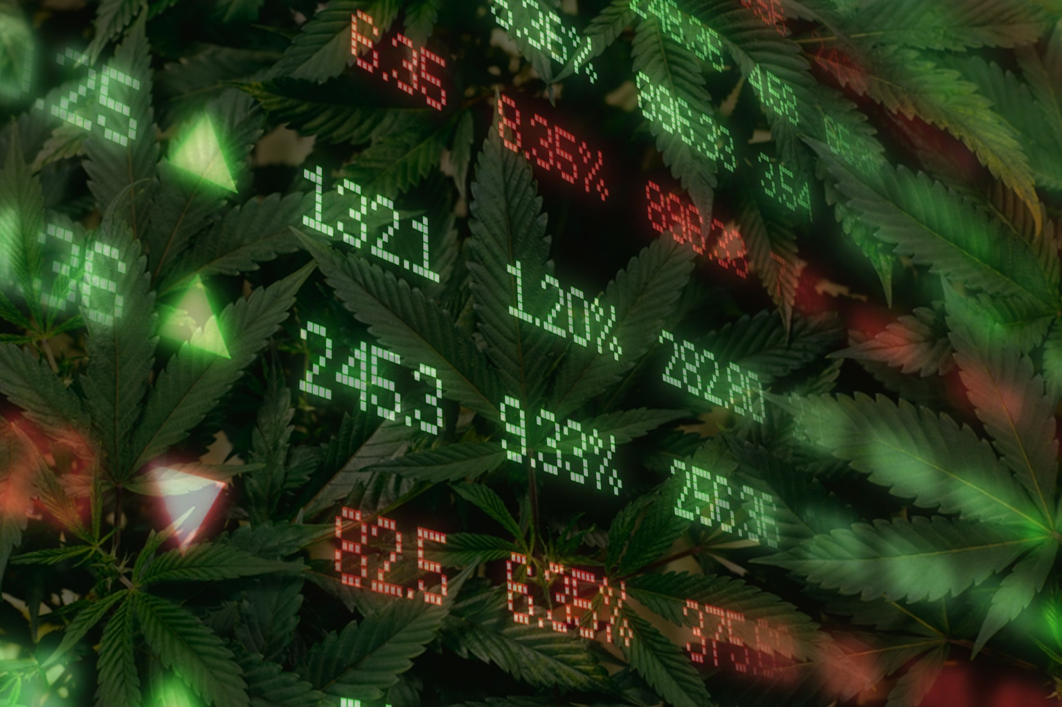 Financial result - cannabis 01