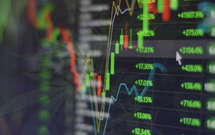 Financial result - cannabis 03