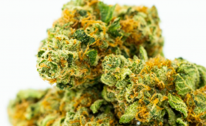 Global Cannabis Testing Market