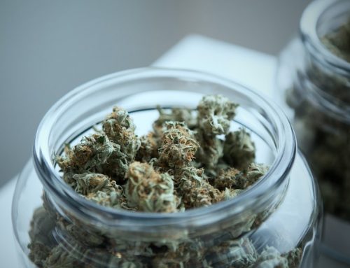 Dutch Government Extends Cannabis Regulation Trial to Eight Additional Cities