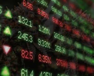 Financial Result, cannabis sales, Cannabis Cultivation Market