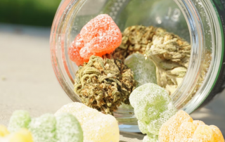 Global CBD Gummies Market Report