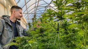 American Veteran Opens Cannabis Dispensary and Donates Proceeds to Disabled American Veterans