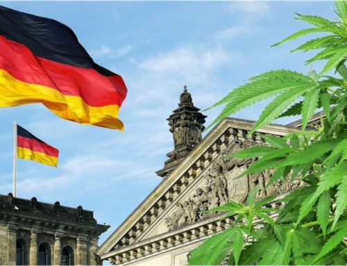 Germany’s Cannabis Social Clubs Begin Distribution Amid Expansion of Pilot Programs