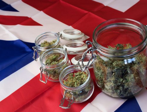 From ”Soapbar” to Novel Laws: Cannabis in the UK 
