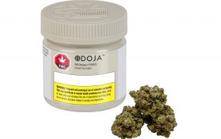 Canopy Growth Corporation