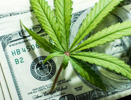 Canopy Growth Corporation Stock Performance and Upcoming Earnings Report