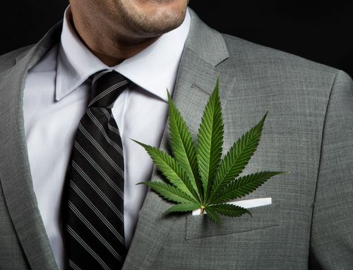 2024 Presidential Candidates Outline Contrasting Visions for Cannabis and Psychedelics Reform