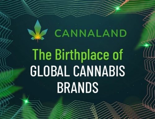 Cannaland Defines the Future of WEB3 and the Metaverse Experience for Cannabis Enthusiasts