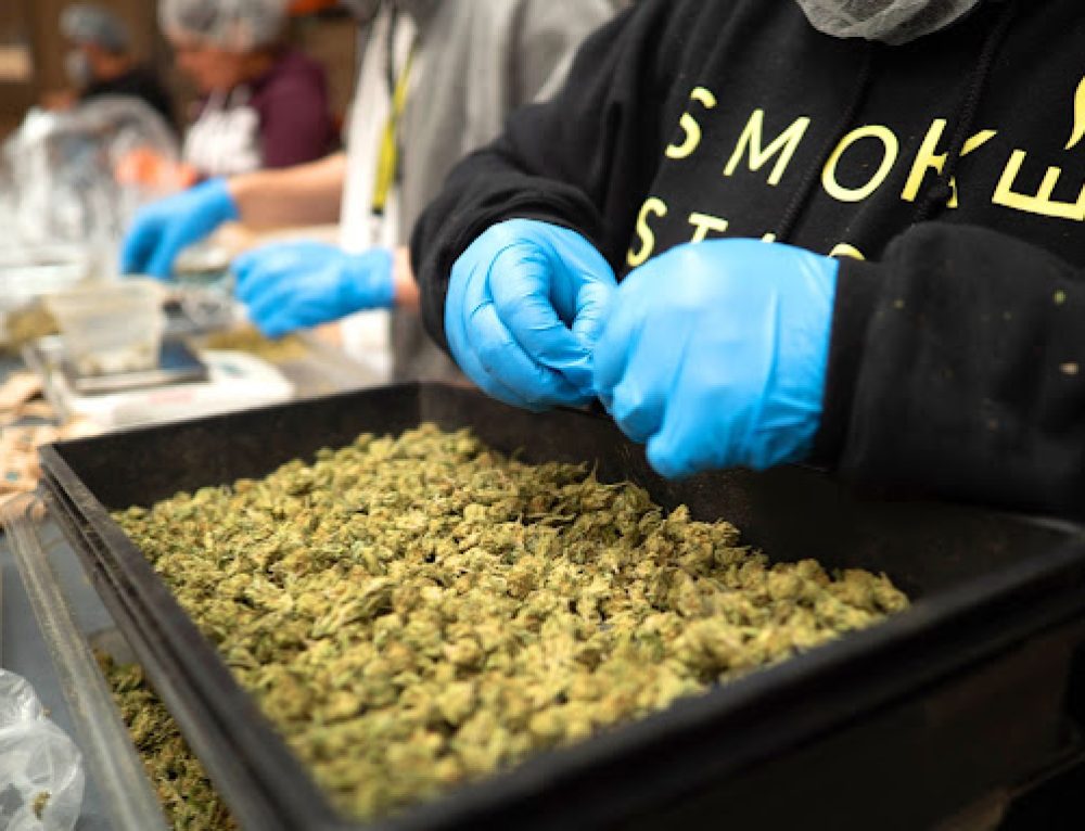 High Life Farms Launched Chief and Annie Tokeley Solventless Cartridges