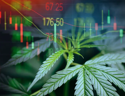 Aurora Cannabis Faces Nasdaq Delisting Threat as Share Price Languishes Below $1