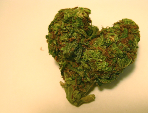 Survey Reveals Majority of American Adults Plan to Use or Gift Cannabis This Valentine’s Day