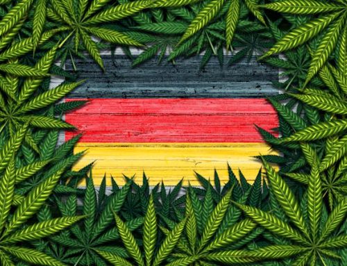 Germany Shifts Plan for Cannabis Legalization to Nonprofits and Personal Use