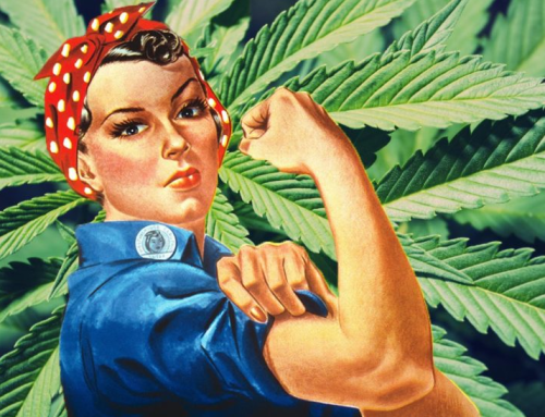 Female-Owned Cannabis Startups Struggle to Secure Funding