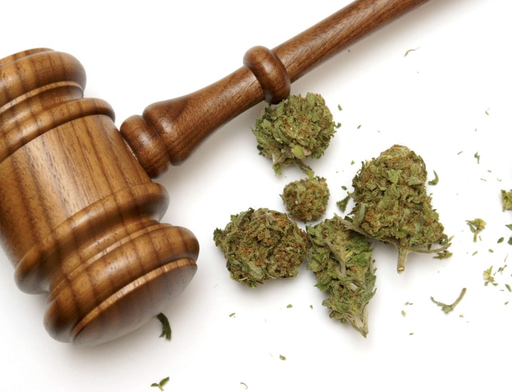 missouri-adjusts-cannabis-regulations-for-foster-parents