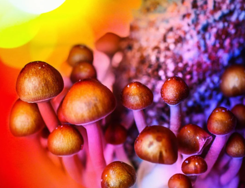 Psychedelic Startups Turn to Stock Payments to Address Financial Struggles