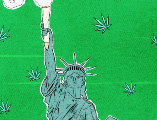 New York Regulators Pave the Way for Cannabis Farmers’ Markets Amid Supply Glut