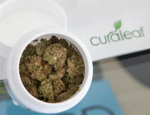 Curaleaf Earnings Estimates Lowered