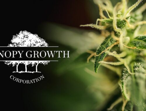 Canopy Growth Corporation Faces Restatement of Financial Statements Following Internal Review