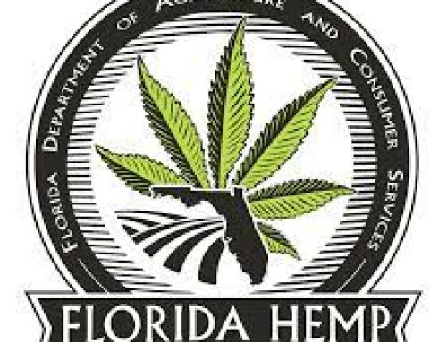 Florida Hemp Bill Passes With No Limits on THC Levels