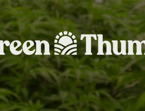 Green Thumb Industries Grapples with Federal Complaints and Union Negotiations Amid Employee Strikes