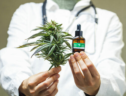 American Medical Association Cannabis Study Finds Significant & Sustained Health Benefits